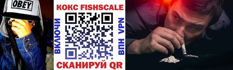Купить закладки  Верхотурье  Кокаин FishScale 