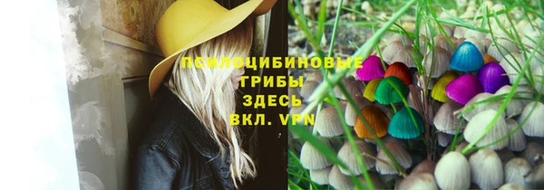 МДПВ Заводоуковск