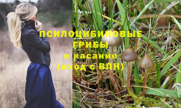 твердый Заволжск