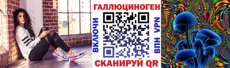 Купить закладки  Верхотурье  Псилоцибиновые грибы мицелий 